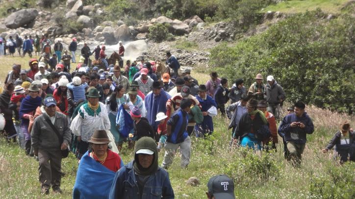 1Olmedo purificacion10 Copy