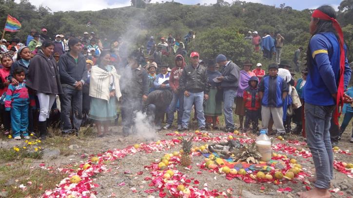 1Olmedo purificacion2 Copy