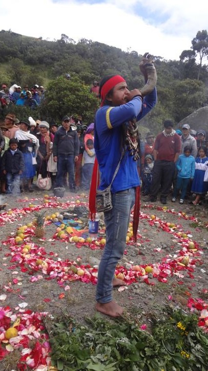 1Olmedo purificacion3 Copy